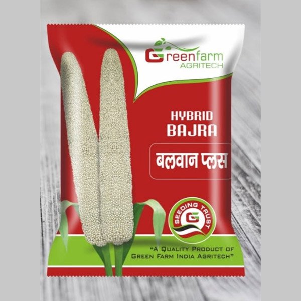 hybrid bajra-balwanplus